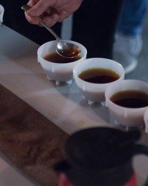 Wyjątkowy Cupping Kaw z World of Coffee w Coffeedesk!