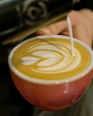 Warsztat – Latte Art – poziom zaawansowany