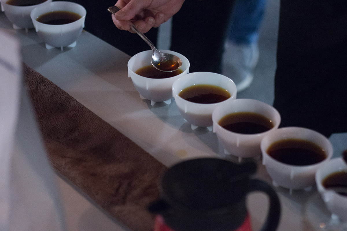 warsztat cupping coffeedesk